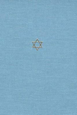 The Talmud of the Land of Israel, Volume 31, Volume 31: Sanhedrin and Makkot by 
