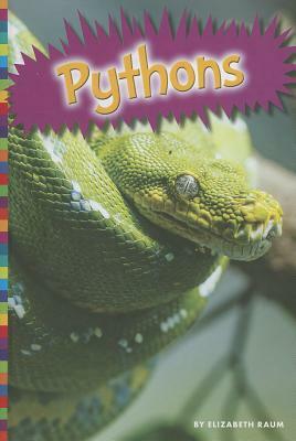 Pythons by Elizabeth Raum