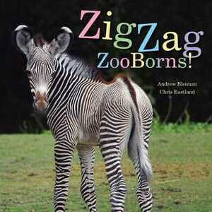 ZigZag ZooBorns!: Zoo Baby Colors and Patterns by Andrew Bleiman, Chris Eastland