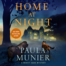 Home at Night by Paula Munier