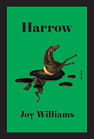 Harrow by Joy Williams