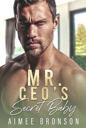 Mr. CEO's Secret Baby  by Aimee Bronson