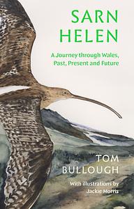 Sarn Helen: A Journey Through Wales, Past, Present and Future by Tom Bullough