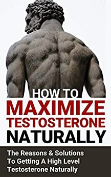 Testosterone: 10 Different Ways to Increase Testosterone Naturally and Boosting It to Its Full Potential by Ben Vincent
