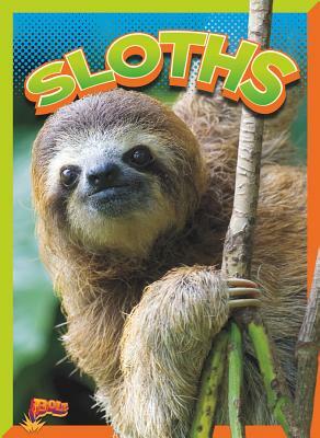 Sloths by Gail Terp
