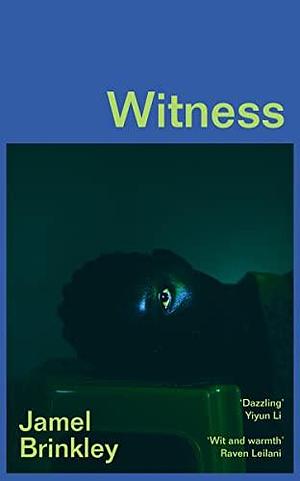 Witness: Stories by Jamel Brinkley, Jamel Brinkley