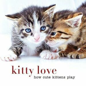 Kitty Love: How Cute Kittens Play by Sterling Publishing