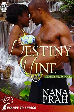 Destiny Mine by Nana Prah