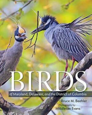 Birds of Maryland, Delaware, and the District of Columbia by Bruce M. Beehler