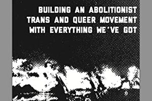 Building an Abolitionist Trans & Queer Movement With Everything We've Got by Alex Lee, Dean Spade, Morgan Bassichis