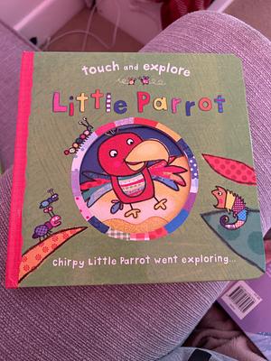 Little Parrot by Katie Saunders