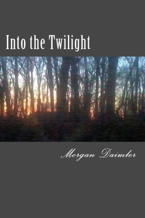 Into the Twilight by Morgan Daimler