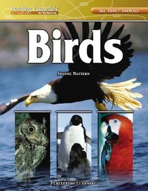 Birds by Joanne Mattern