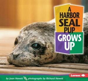 A Harbor Seal Pup Grows Up by Joan Hewett