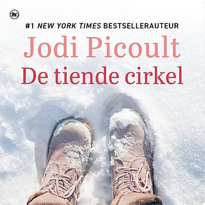 De tiende cirkel by Jodi Picoult