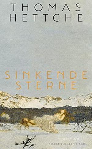 Sinkende Sterne by Thomas Hettche