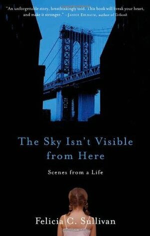The Sky Isn't Visible from Here: Scenes from a Life by Felicia C. Sullivan