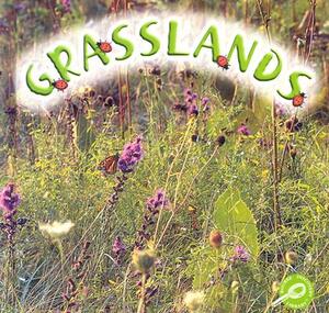 Grasslands by Lynn M. Stone