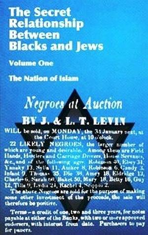 The Secret Relationship Between Blacks and Jews by J. Levin, J. Levin