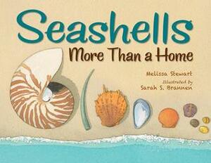 Seashells: More Than a Home by Sarah S Brannen, Melissa Stewart