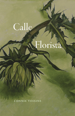 Calle Florista by Connie Voisine