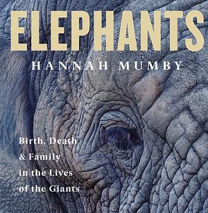 Elephants by Hannah Mumby