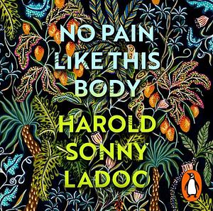 No Pain Like This Body by Harold Sonny Ladoo, Dionne Brand