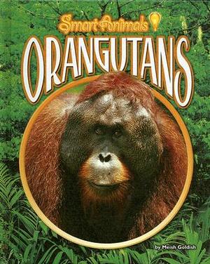 Orangutans by Meish Goldish