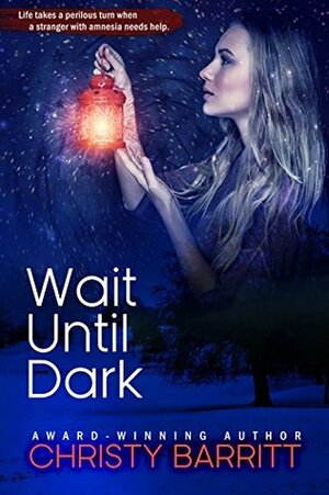 Wait Until Dark by Christy Barritt