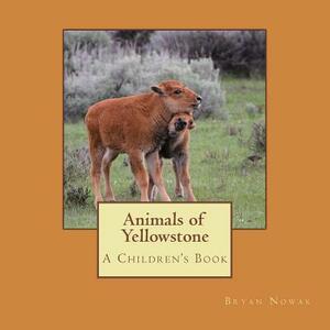 Animals of Yellowstone: A Children's Picture Book by Bryan Nowak