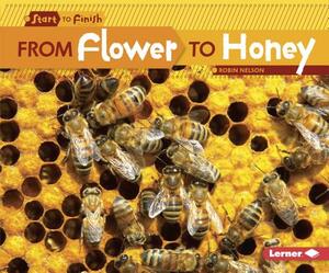 From Flower to Honey by Robin Nelson