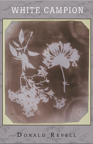 White Campion by Donald Revell