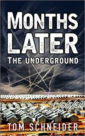 Months Later: The Underground by Tom Schneider