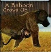 A Baboon Grows Up by Anastasia Suen