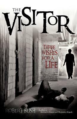 The Visitor by Robert Bush