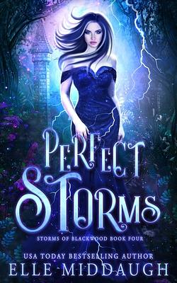 Perfect Storms by Elle Middaugh