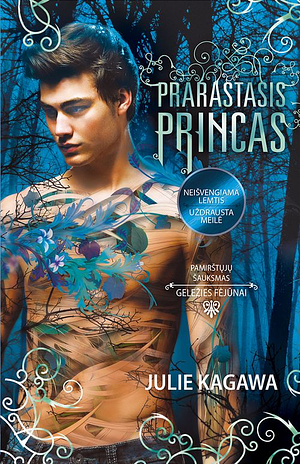 Prarastasis princas by Julie Kagawa