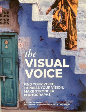 The Visual Voice: Find Your Voice, Express Your Vision, Make Stronger Photographs by David duChemin