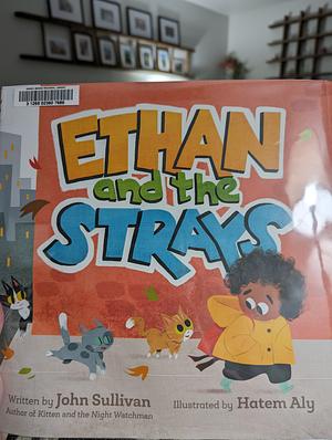Ethan and the Strays by John Sullivan