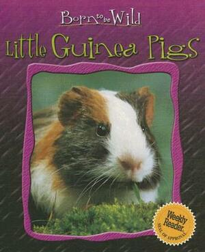 Little Guinea Pigs by Anne Royer