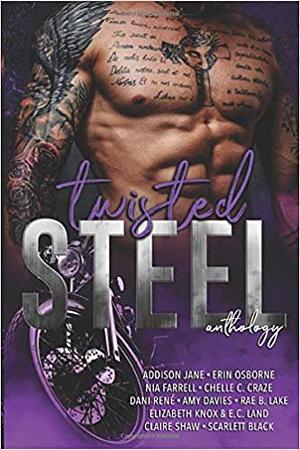 Twisted Steel by Chelle C. Craze, Addison Jane, Nia Farrell, Erin Osborne, Letha Gene, Amy Davies, Rae B. Lake, Scarlett Black, E.C. Land, Krista Ames, Elizabeth Knox, Dani René, Claire Shaw