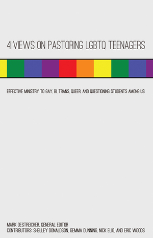 4 Views on Pastoring LGBTQ Teenagers Effective Ministry to Gay, Bi, Trans, Queer, and Questioning Students Among Us by Mark Oestreicher, Nick Elio, Shelley Donaldson, Eric Woods, Gemma Dunning