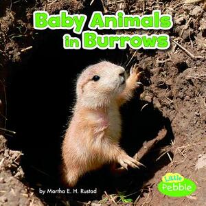 Baby Animals in Burrows by Martha E.H. Rustad