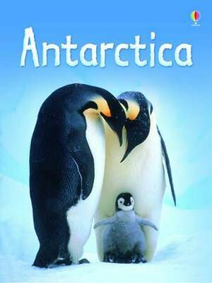 Antarctia by Lucy Bowman