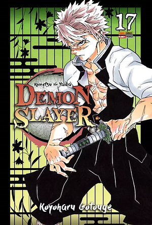 Demon Slayer - Kimetsu No Yaiba, Vol. 17 by Koyoharu Gotouge