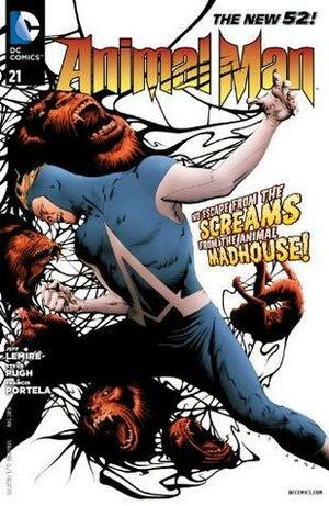 Animal Man #21 by Jeff Lemire