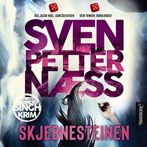 Skjebnesteinen by Sven Petter Næss