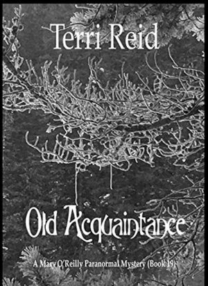 Old Acquaintance by Terri Reid