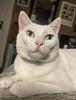 earth_to_annie's profile picture
