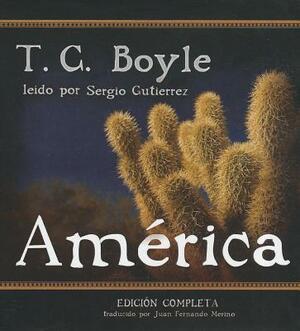 America by T.C. Boyle, Dinesh D'Souza